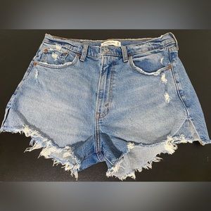 Abercrombie and Fitch • The Mom Short High Rise • Size 30/10